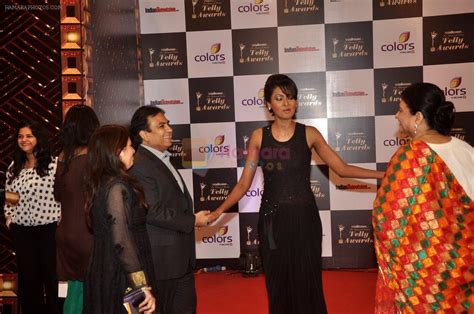 Nigaar Khan At Indian Telly Awards In Filmcity Mumbai On Th Sept