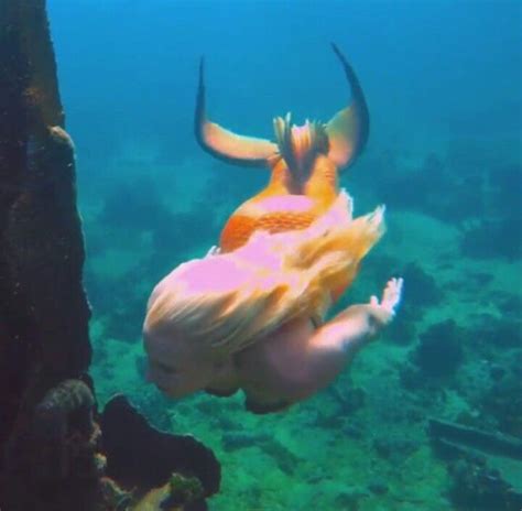 Mermaid Real Life Mermaids Save Our Oceans Mermaid Dreams Merfolk