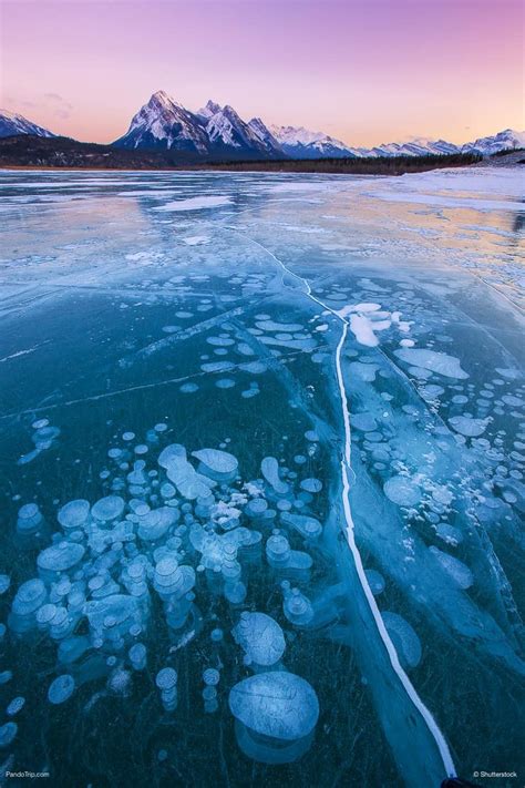 Travel Guide To Photographing Ice Bubbles In Abraham Lake Alberta