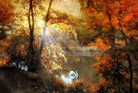 Autumn Afterglow Graphy Sunsets Attractions In Dreams Colors Love