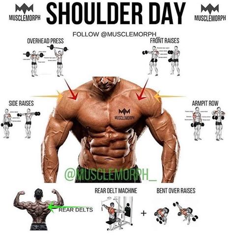 Exercise And Tips For Building Bigger Shoulders Muscular Strengths