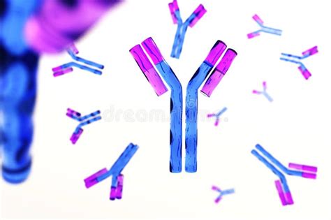 Antibody Immunoglobulin Y Shaped Protein Produced Mainly By Plasma