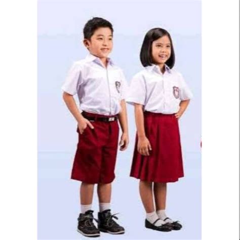 Anak Laki Laki Tampan Mengenakan Seragam Sekolah Dasa - vrogue.co