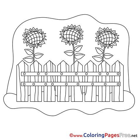 Fence Coloring Page