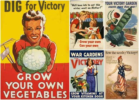 Edibles And Potables Victory Gardens Return Channeling Energy Into