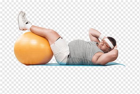 Crunch Abdominal Obesity Adipose Tissue Physical Exercise Abdominal Exercise Others Physical