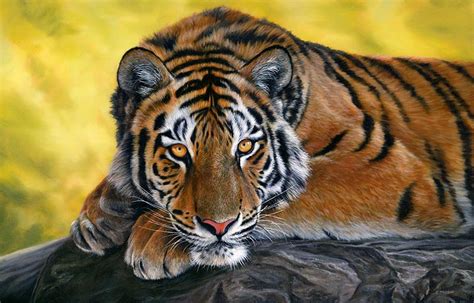 Tiger Oil Painting Finished How To Paint Animals Wildlife Art