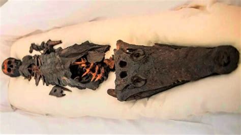 A Chilling Mummy Found With Two Heads One Of A Princess And One Of A Crocodile Has Been