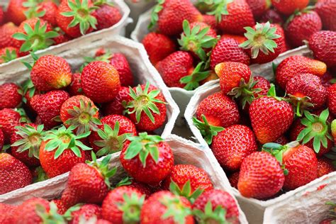 How To Ship Strawberries Bluegrace Logistics