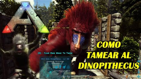 Ark Como Tamear Al Dinopithecus Facil Y Rapido Youtube