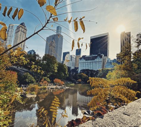 14 Beautiful Central Park Photo Spots To Capture Amazing Photography