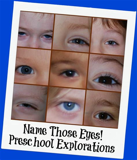 Preschool Science Exploring Eye Colors In Families • The Preschool