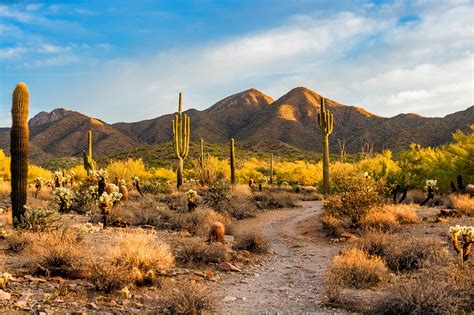 10 Best Things To Do In Scottsdale What Is Scottsdale Most Famous For