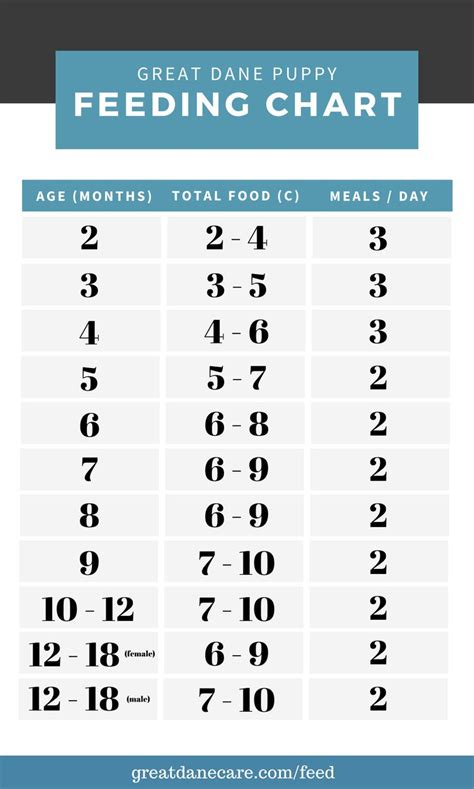 I'm in the uk for reference of what foods we have here. A simple guide on how much, when, and what to feed a Great ...