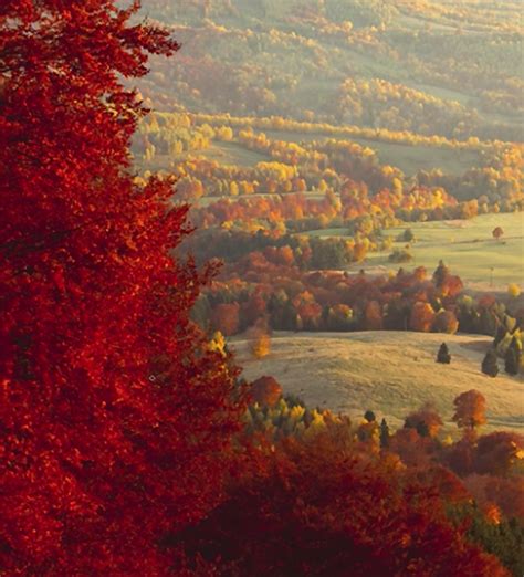 Take Beautiful Fall Landscape Photos With 30 Tips From Nature Pro Toma Bonciu Video Shutterbug