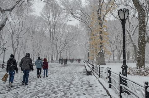 Snow In The Mall Central Park New York Photograph By Pete Kelly Fine