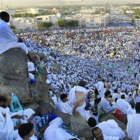 قصائد شعر عربية وأجنبية لكبار الشعراء | قرابة 60 أف قصيدة فى الشعر العربى والأجنبى المترجم لفحول الشعراء وزهاء 20 ألف من إقتباسات وحكم وأقول الحكماء | ديوان قاعدة بيانات الشعر والإقتباسات أجمل أنشودة -الى عرفات سنمضى غدا -حسين السايس | صوتيات درر ...