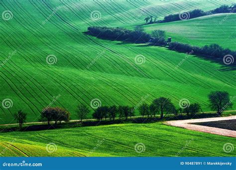 Detail Scenery At South Moravian Field During Spring Czech Republic