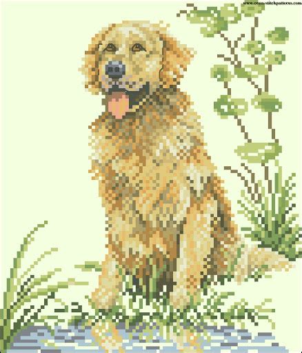 Golden Retriever Counted Cross Stitch Patterns And Charts