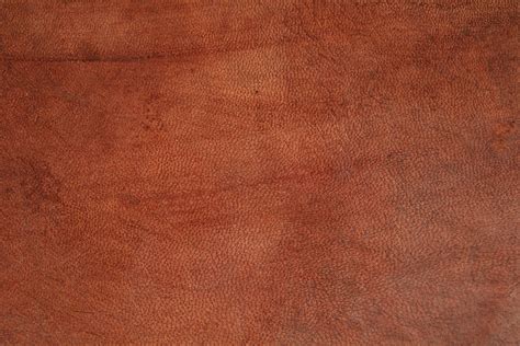 Brown Leather Texture Genuine Even Skin Pattern Wallpaper Jpeg
