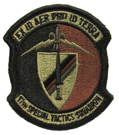 17th Special Tactics Squadron Ocp Patch Spice Brown