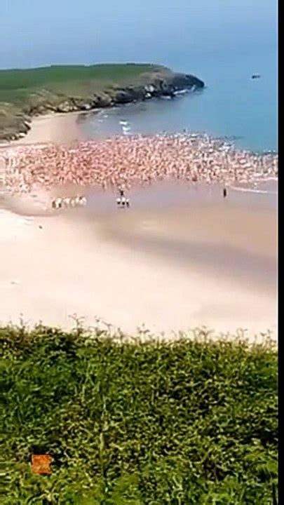 more than 2 500 women skinny dip in irish sea breaking world record video dailymotion