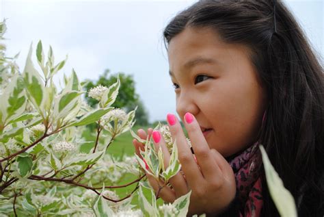 Free Images Landscape Nature Person Girl Flower Spring Child