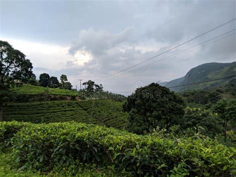 Natural Beauty Of Sri Lanka Stock Photo Image Of Srilanka