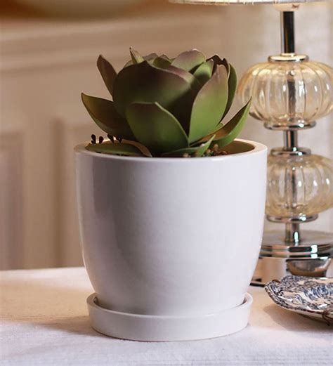 Buy White Ceramic Table Top Planter With Saucer By Decardo Online