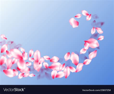 Pink Cherry Blossom Petals Isolated Royalty Free Vector