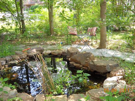 Create a backyard frog pond. Chickadee Garden: Backyard Habitat