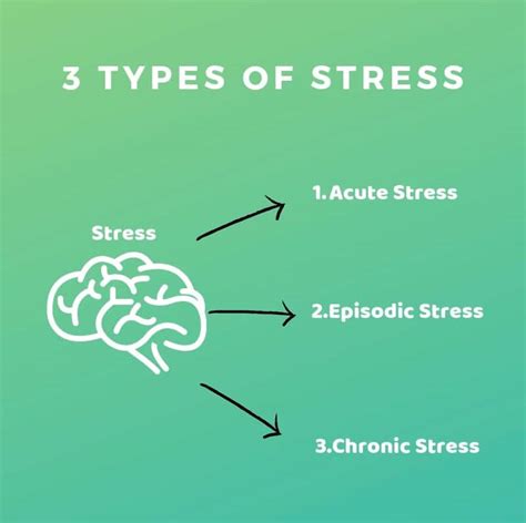 What Are 10 Natural Ways You Can Stay Healthy Under Stress Awaken