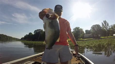 Big Fish Caught On Wilson Lake Youtube