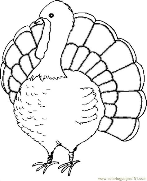 Free thanksgiving coloring pages turkey coloring pages fall coloring pages thanksgiving crafts coloring pages for kids coloring books there is an easy turkey color by number and links to a thanksgiving coloring book, printable placemats, and emergent readers for your littlest ones. Coloring Pages Turkey 12 (Holidays > Thanksgiving Day ...