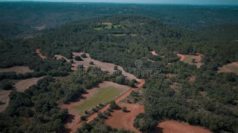 Aerial View From Drone Over Oak Trees Stock Image Image Of Road