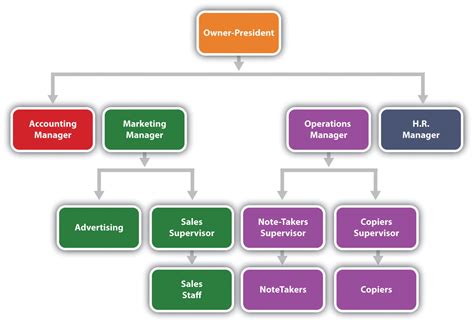 Reading The Organization Chart And Reporting Structure Introduction