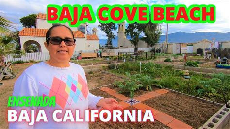 Baja Cove Beach Baja California De Aventuras Youtube