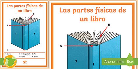 Poster Las Partes Fisicas De Un Libro Teacher Made
