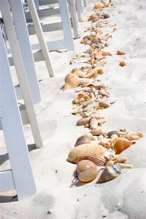 Shells Line The Aisle Simple Elegance With Attention To Detail
