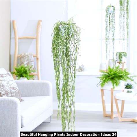 Beautiful Hanging Plants Indoor Decoration Ideas Pimphomee