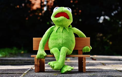 1600x1200 Wallpaper Kermit The Frog Plush Toy Peakpx