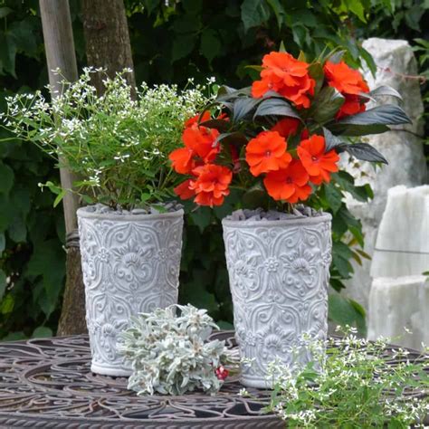 Nach dem eindunkeln tauchen viele lampions den niklausenplatz in festliche stimmung. Blumendekoration für den 1. August - Gärtnerei Schwitter AG