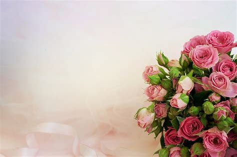 Hd Wallpaper Pink Roses Bouquets Basket Pink Color Rose Flower