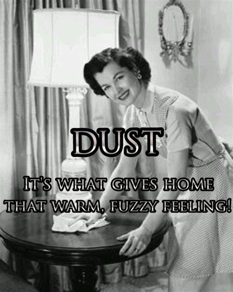 Dust Its What Gives Home That Warm Fuzzy Feeling