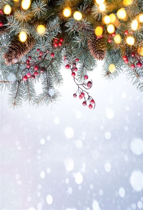 Laeacco Photo Backgrounds Christmas Pine Snowflake Shiny Polka Dots