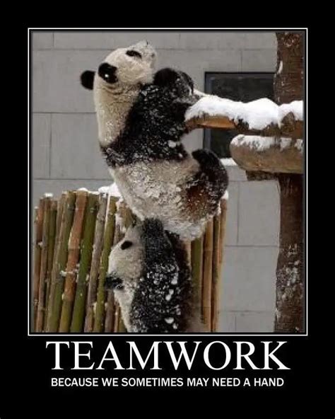 Top Teamwork Quotes To Celebrate Collaboration Bayart