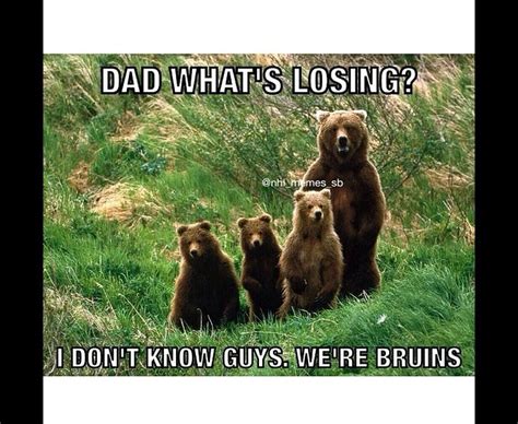 217 Best Bruin Jokes Images On Pinterest Hilarious Stuff Chistes And