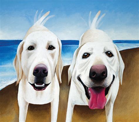 Female cats are not the only consideration. What are the Differences Between Male and Female Dogs ...