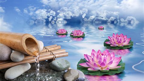 25 Lotus Lake Wallpapers Wallpaperboat