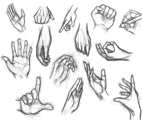 Hand Study By Devonsewn On Deviantart